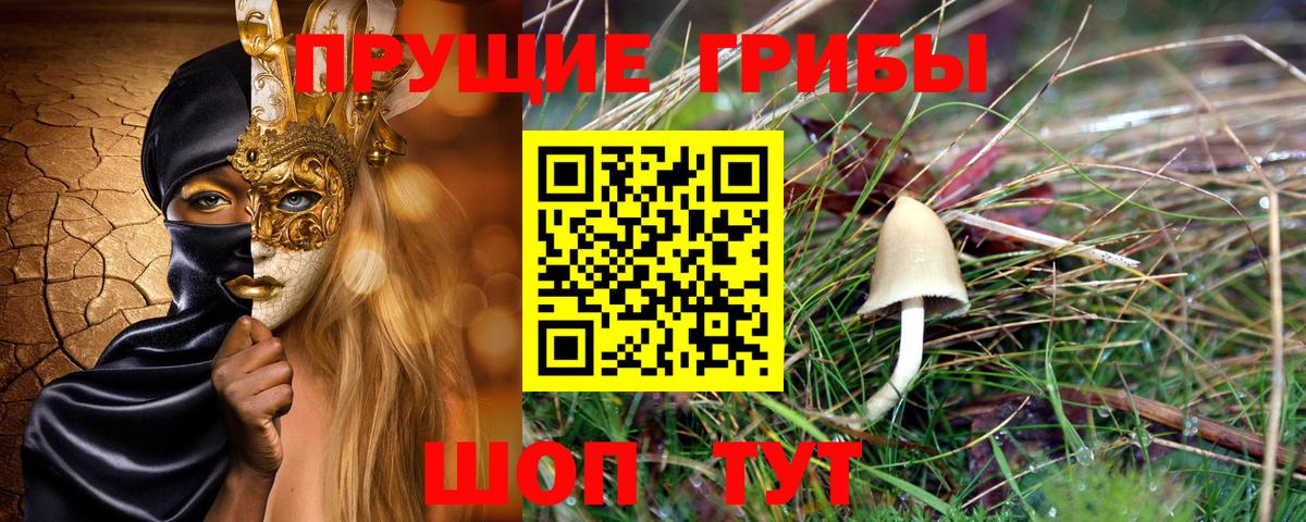 Михайловск  Галлюциногенные грибы MAGIC MUSHROOMS  Вход с VPN 